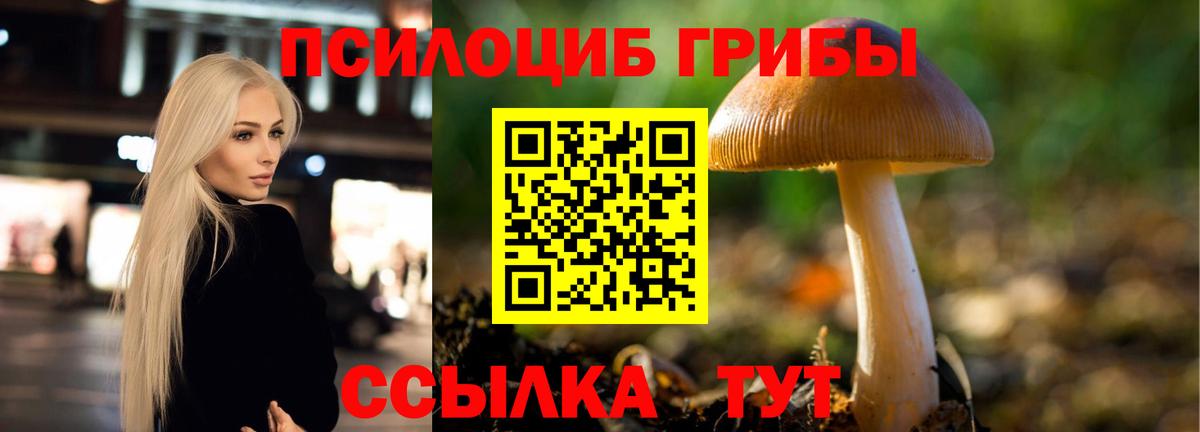 Галлюциногенные грибы Psilocybe Красноярск
